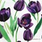 Кулирка Фиолетовые тюльпаны 1032022