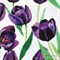 Кулирка Фиолетовые тюльпаны 1032022