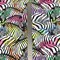 Кулир Зебры 1032747