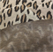 Трикотаж жаккард Леопард на светло-сером 1082042